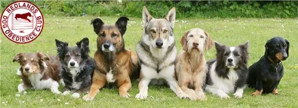 Redlands Dog Obedience Club