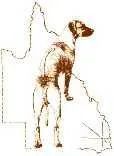 Rhodesian Ridgeback Club of Qld Inc.