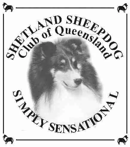 Shetland Sheepdog Club of QLD