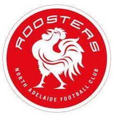  North Adelaide Football Club