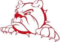 North Bendigo Junior Football Club