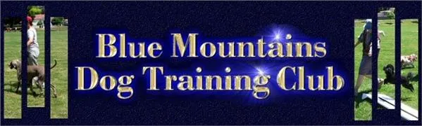 Blue Mountains Dog Tng Club Inc.