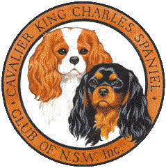 Cavalier King Charles Spaniel Club NSW Inc.