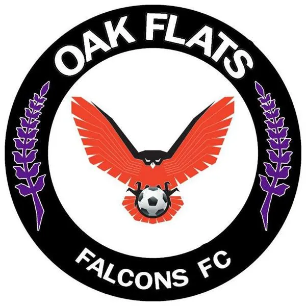 Oak Flats Falcons Football Club