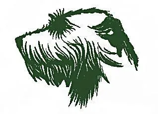 Irish Wolfhound Club of NSW Inc.