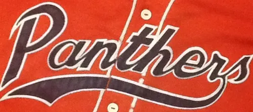 Panthers Baseball Club