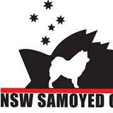 NSW Samoyed Club