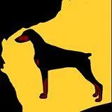 Dobermann Club of Western Australia Inc.