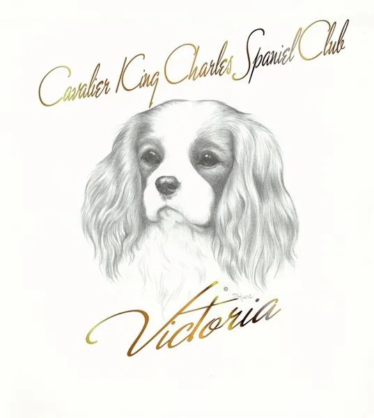 Cavalier King Charles Spaniel Club Of Victoria Inc