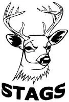 Nanango RLC Inc. (South Burnett Rugby League Inc.)