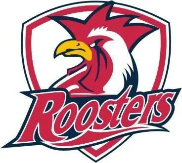 South Lakes Roosters JRLFC