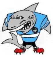 Tullibigeal Lake Cargelligo (Group 20 Rugby League)