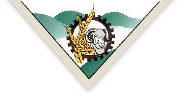 Wongan-Ballidu Shire
