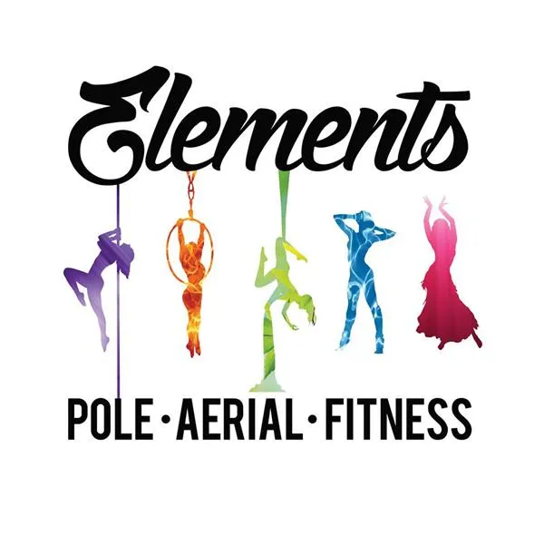 Elements Pole Aerial Fitness
