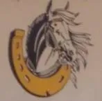 Eugowra Pony Club
