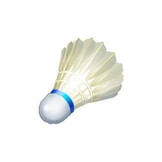 Leongatha Badminton Club Inc