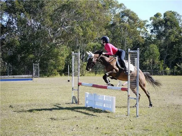 Eumundi Pony Club