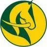 Yandina Pony Club