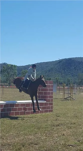 Ayr Pony & Hack Club