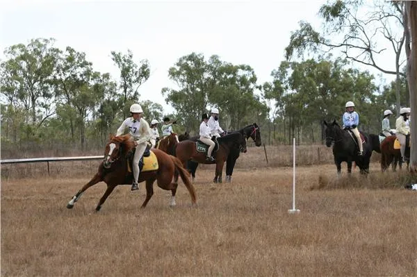 Black River Pony & Hack Club