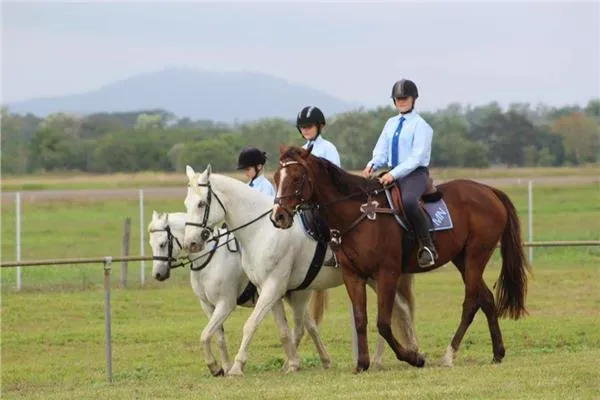 Herbert River Pony Club 