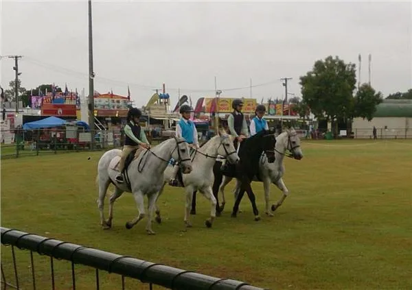 Comet River Pony Club