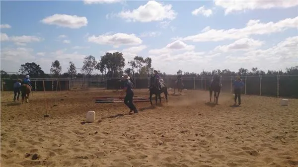 Rolleston Pony Club Inc