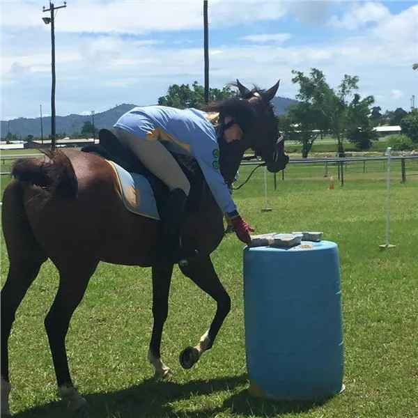  Innisfail Horse and Pony Club
