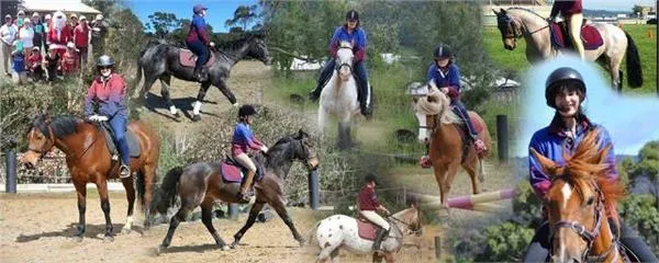 D'Entrecasteaux Pony Club Inc.
