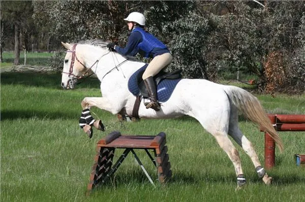 Narrogin Pony & Riding Club