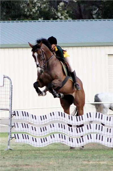 Orange Grove Horse & Pony Club