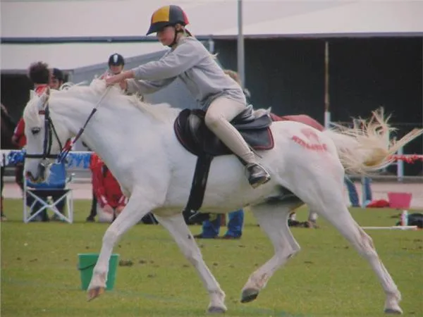 Bindoon Range Pony Club