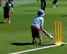 Wide Bay Cricket Inc