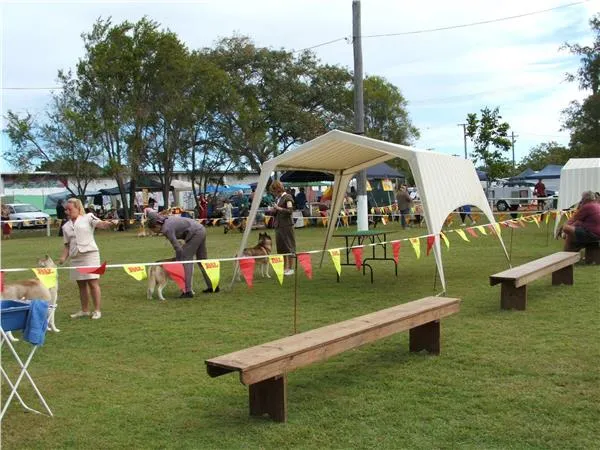 Bundaberg Canine Club Inc