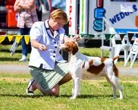 Isis and District Canine Club Inc.