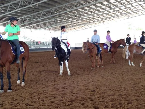 Burnett Wide Bay Regional Appaloosa Club Inc