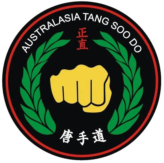 NT Tang Soo Do Karate Academy