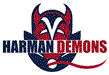 Harman Demons Cricket Club