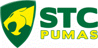 STC Pumas Cricket Club