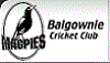 Balgownie Cricket Club