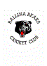 Ballina Bears Cricket Club 