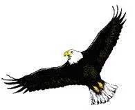 Beverly Hills Eagles Cricket Club
