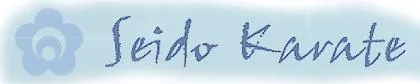 Seido Karate - Northern Rivers