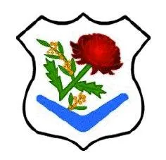 Birrong Sports Netball Club