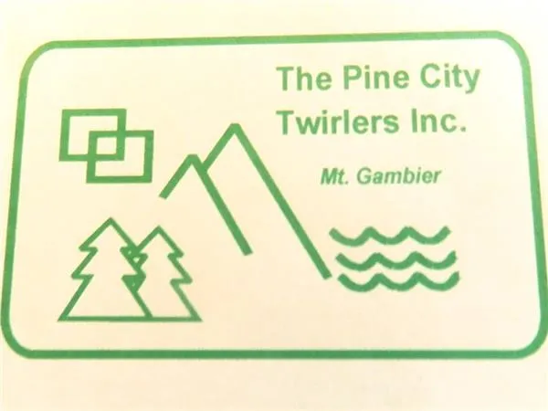 Pine City Twirlers