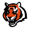 Murdoch Tigers Cricket Club