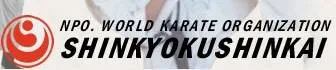 Sarina Karate Club