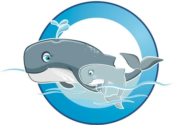 Meadows Swim School