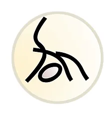 Ki2life
