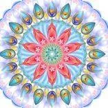Serenity Meditation and Yoga